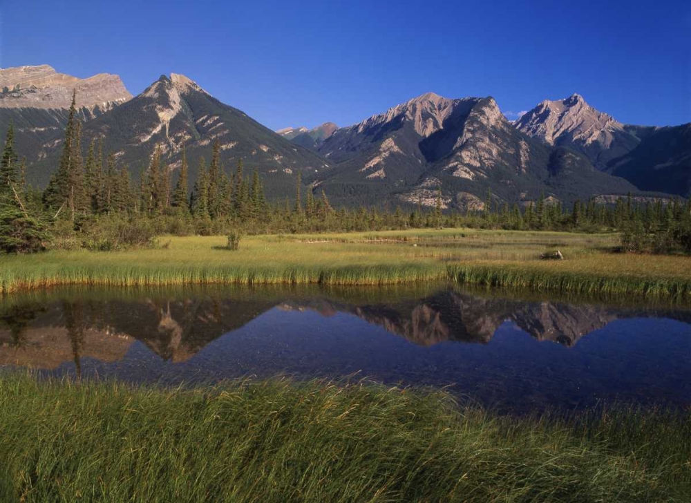 Canada, Alberta, Jasper Lake in Jasper NP art print by Mike Grandmaison for $57.95 CAD